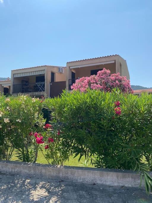 Casa Nautilus Holiday home