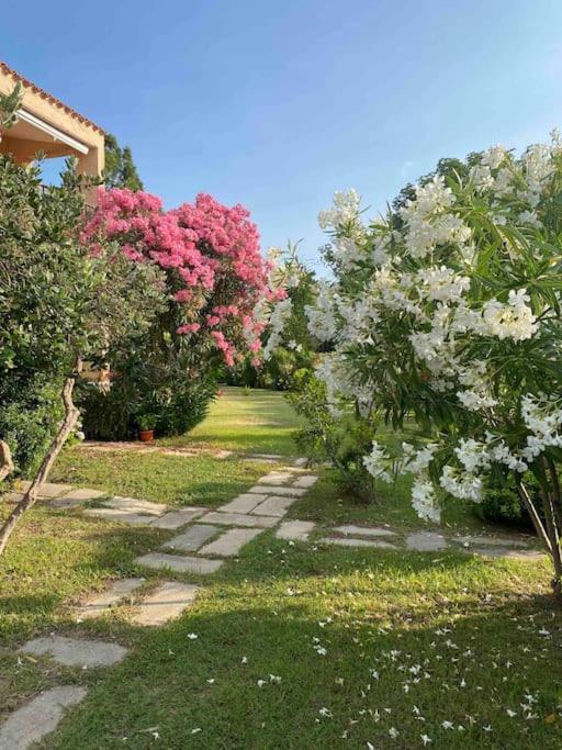 Casa Nautilus Holiday home