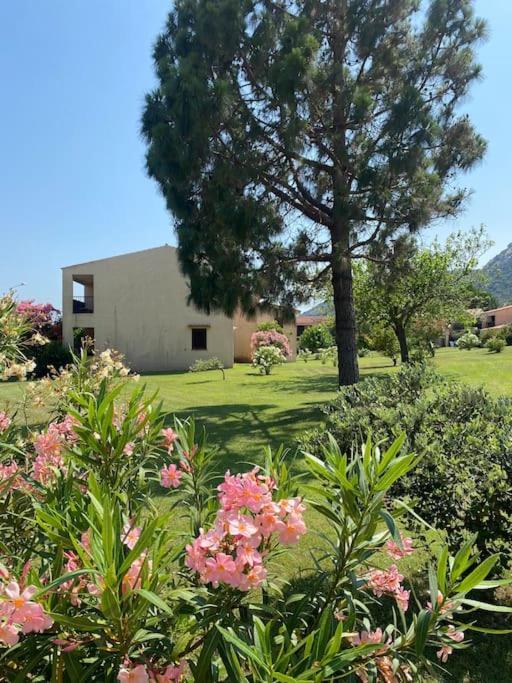Casa Nautilus Holiday home *